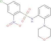 ((4-chloro-2-nitrophenyl)sulfonyl)(2-morpholin-4-ylphenyl)amine