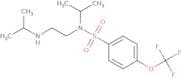 (isopropyl)(2-((isopropyl)amino)ethyl)((4-(trifluoromethoxy)phenyl)sulfonyl)amine