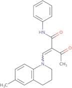 2-acetyl-3-(6-methyl(1,2,3,4-tetrahydroquinolyl))-N-phenylprop-2-enamide