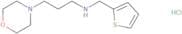 [3-(Morpholin-4-yl)propyl](thiophen-2-ylmethyl)amine hydrochloride