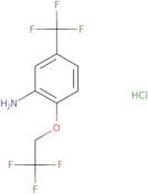2-(2,2,2-Trifluoroethoxy)-5-(trifluoromethyl)aniline hydrochloride