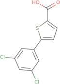5-(3,5-Dichlorophenyl)thiophene-2-carboxylic acid