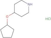4-(Cyclopentyloxy)piperidine hydrochloride