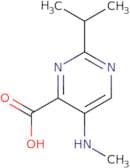 2-Isopropyl-5-(methylamino)pyrimidine-4-carboxylic acid