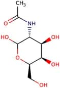 N-Acetyl-D-galactosamine