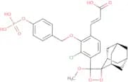 AquaSpark® Broad Range Phosphatase Substrate, 2 mM in DMSO, Ramot at Tel-Aviv University Ltd. Pate…
