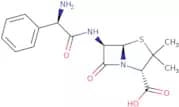 Ampicillin
