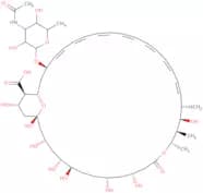 N-Acetylamphotericin B