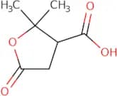 Terebic Acid