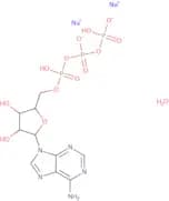 ATP disodium salt