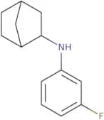 N-(3-Fluorophenyl)bicyclo[2.2.1]heptan-2-amine