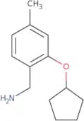[2-(Cyclopentyloxy)-4-methylphenyl]methanamine
