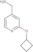 (2-Cyclobutoxypyridin-4-yl)methanamine