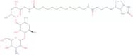 N-Biotinyl-12-aminododecanoyltobramycin amide