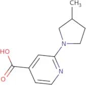 2-(3-Methylpyrrolidin-1-yl)pyridine-4-carboxylic acid