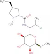 Clindamycin B hydrochloride