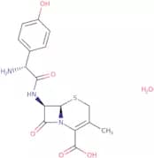 Cefadroxil monohydrate