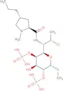 Clindamycin-2,4-diphosphate