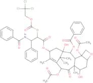 2-o-{[(2,2,2,-Trichloroethyl)oxy]carbonyl paclitaxel