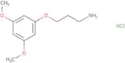 1-(3-Aminopropoxy)-3,5-dimethoxybenzene hydrochloride