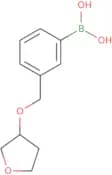 {3-[(Oxolan-3-yloxy)methyl]phenyl}boronic acid