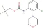 2,2,2-Trifluoroethyl N-[3-chloro-2-(morpholin-4-yl)phenyl]carbamate