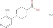 1-(3-Methylpyridin-4-yl)piperidine-4-carboxylic acid hydrochloride