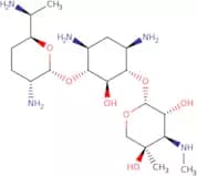 Gentamicin C2a