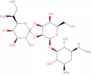 Hygromycin B - min 90%