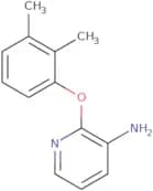3-Amino-2-(2,3-dimethylphenoxy)pyridine