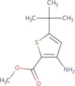 Methyl 3-amino-5-tert-butylthiophene-2-carboxylate