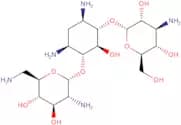 Kanamycin B