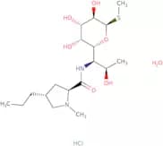Lincomycin hydrochloride monohydrate