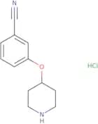 3-(Piperidin-4-yloxy)benzonitrile hydrochloride
