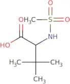 2-Methanesulfonamido-3,3-dimethylbutanoic acid