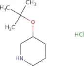 3-(tert-Butoxy)piperidine hydrochloride
