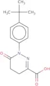 1-(4-tert-Butylphenyl)-6-oxo-1,4,5,6-tetrahydropyridazine-3-carboxylic acid