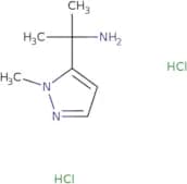 2-(1-Methyl-1H-pyrazol-5-yl)propan-2-amine dihydrochloride