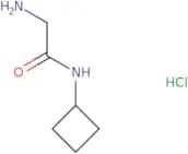 2-Amino-N-cyclobutylacetamide hydrochloride