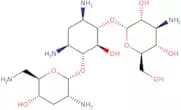 Tobramycin - high purity