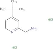 (4-tert-Butylpyridin-2-yl)methanamine dihydrochloride