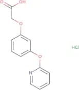2-[3-(Pyridin-2-yloxy)phenoxy]acetic acid hydrochloride