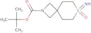 tert-Butyl 7-imino-7-oxo-7λ6-thia-2-azaspiro[3.5]nonane-2-carboxylate