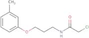2-Chloro-N-[3-(3-methylphenoxy)propyl]acetamide