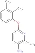 6-(2,3-Dimethylphenoxy)-2-methylpyridin-3-amine