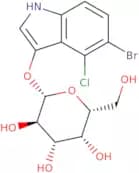 5-Bromo-4-chloro-3-indoxyl-β-D-galactopyranoside