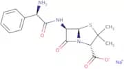 Ampicillin sodium salt - Bio-X ™