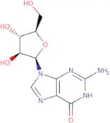 9-(b-D-Arabinofuranosyl)guanine - Bio-X ™