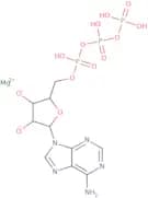 Adenosine 5'-(tetrahydrogen triphosphate)