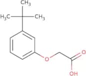 2-(3-tert-Butylphenoxy)acetic acid